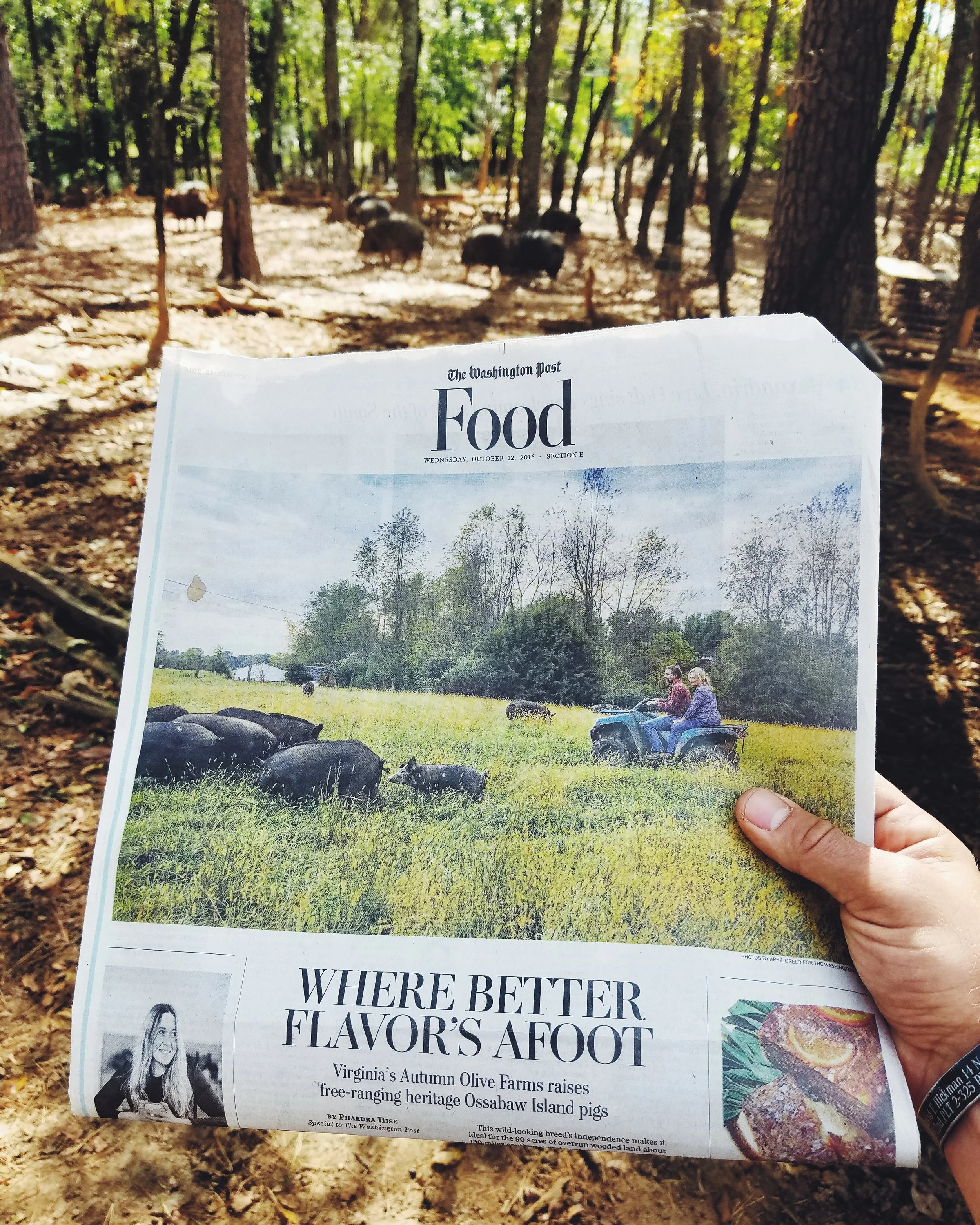 The Washington post