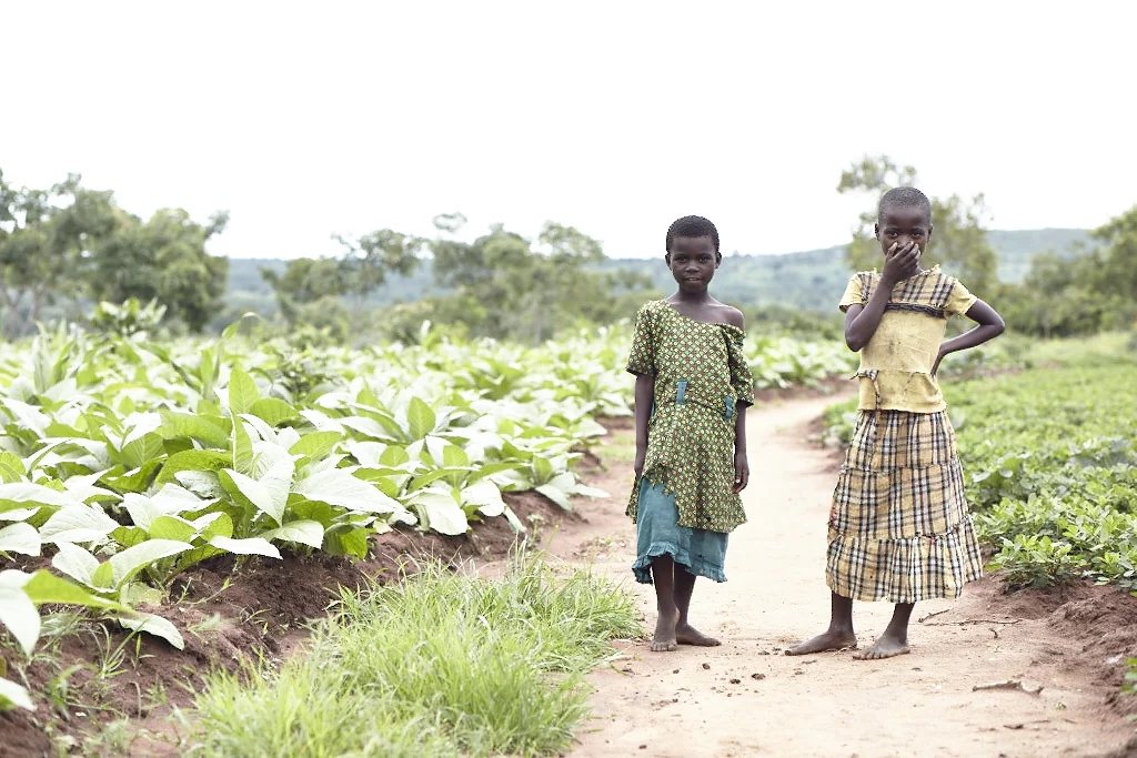 malawi_544.JPG