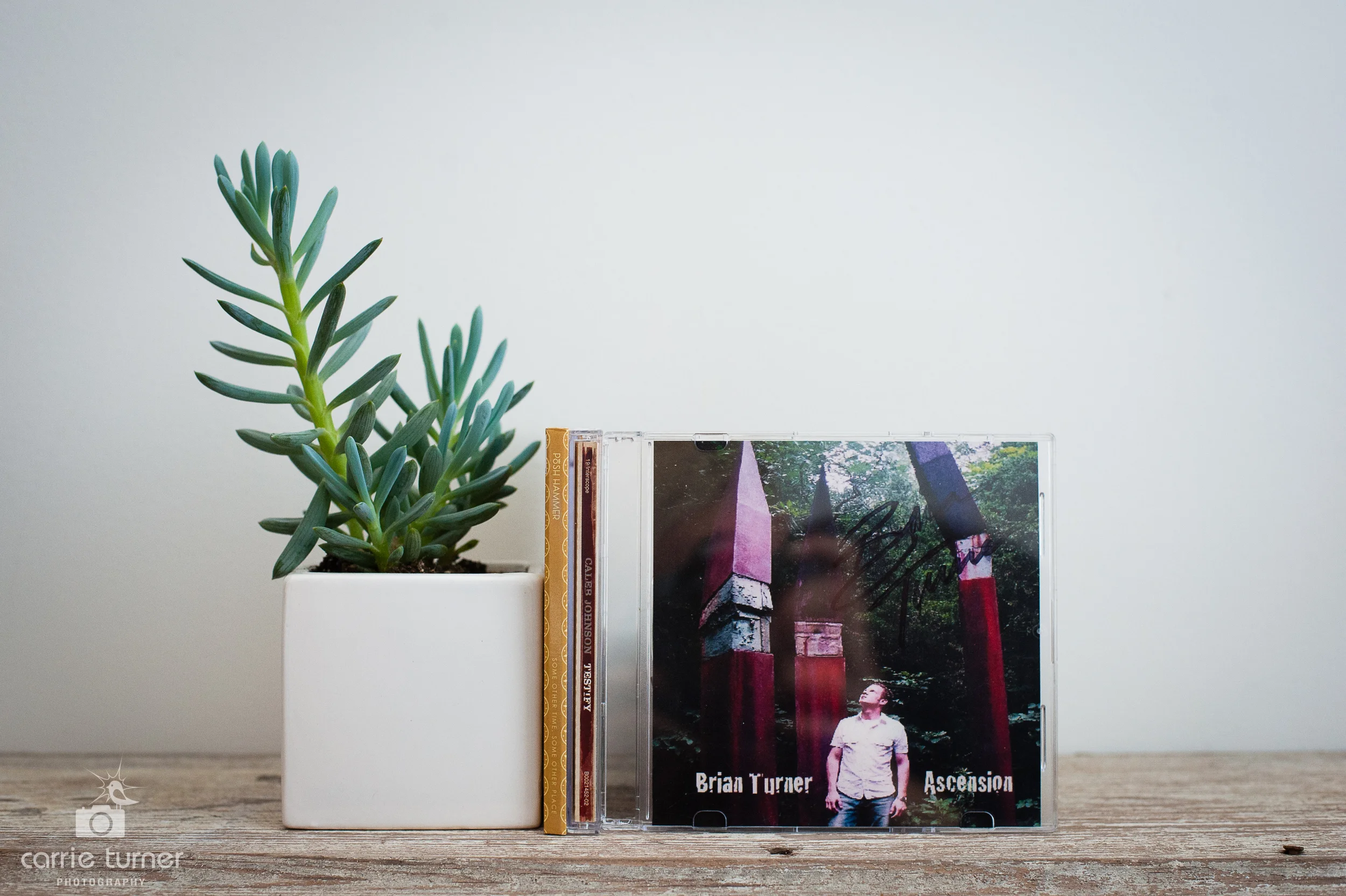Locally-grown music from Brian Turner, Posh Hammer, and Caleb Johnson. 