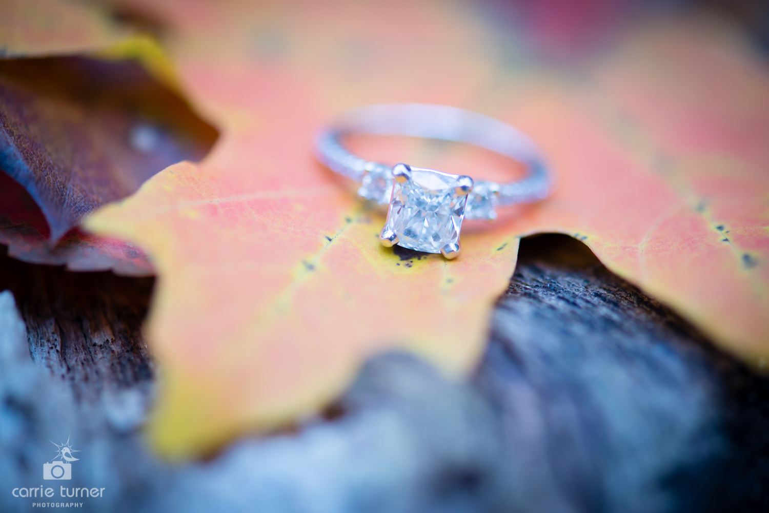 Beth and Jon engagement-53.jpg