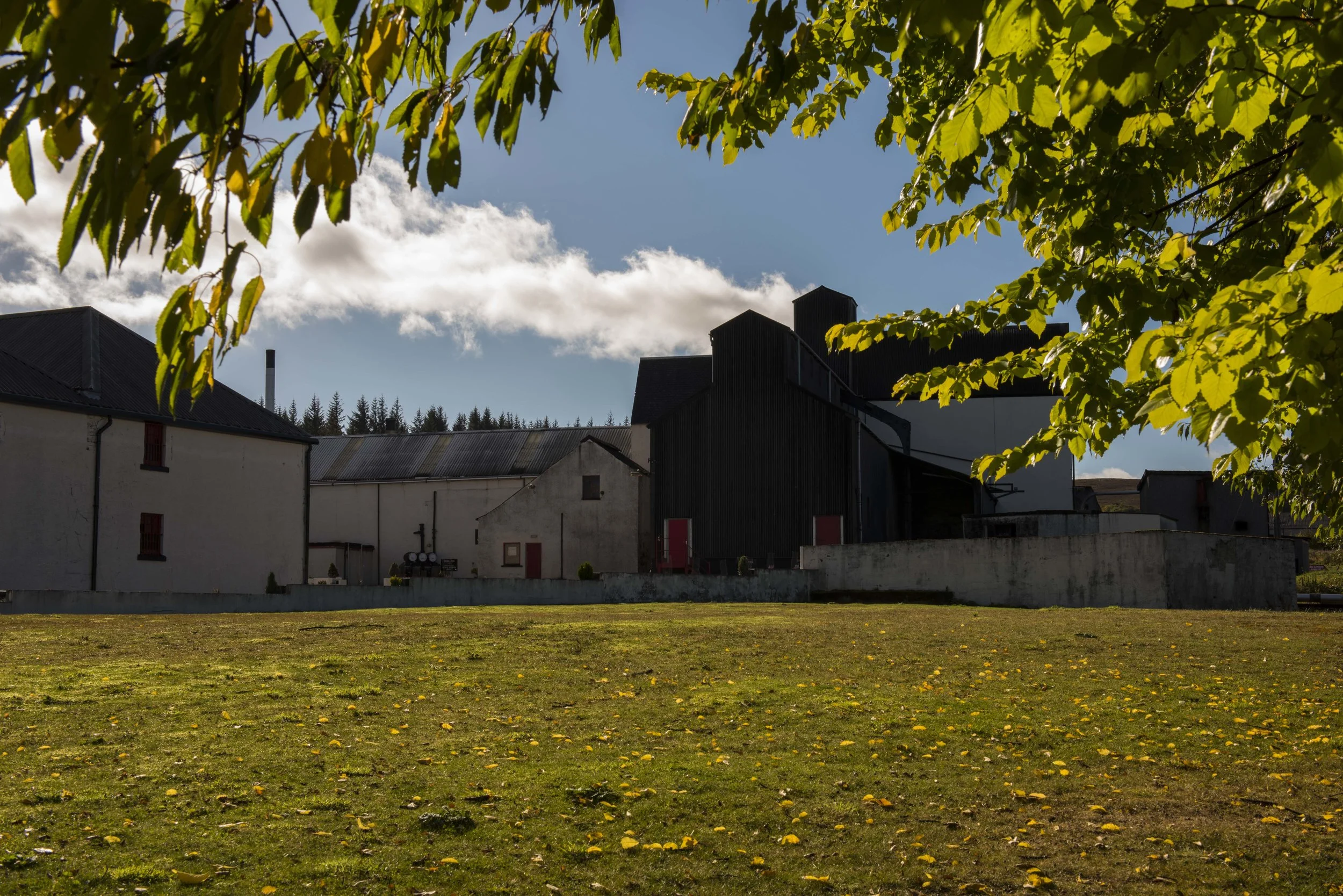 Tomatin_08Oct2015_0346.jpg
