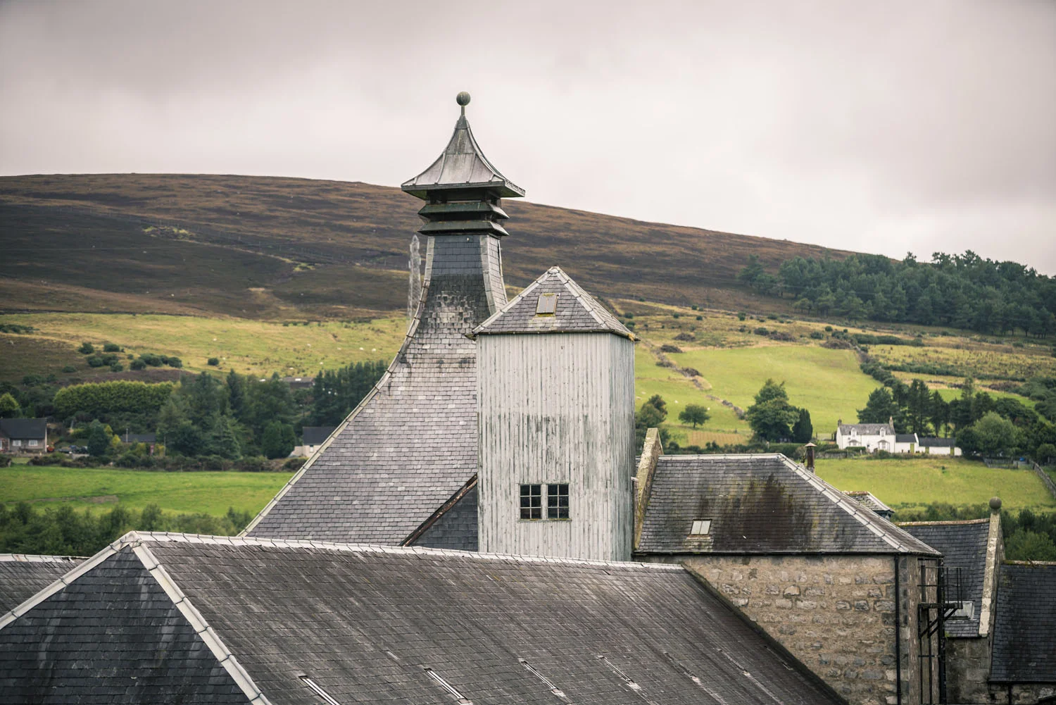 Highland Whisky Festival_Image 2.jpg