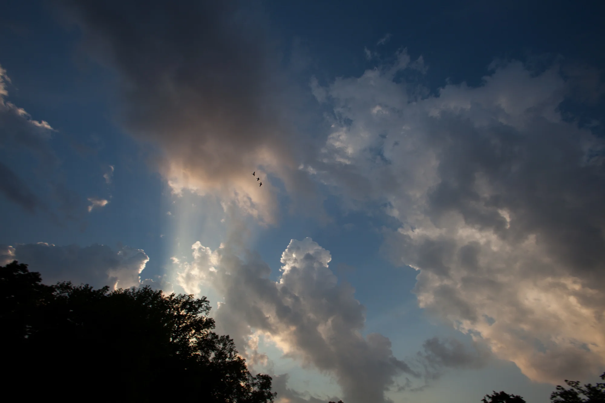 HeatherPhelpsLipton-Modern-Wedding-Photography-ProspectPark-PicnicHouse-summer-48.jpg