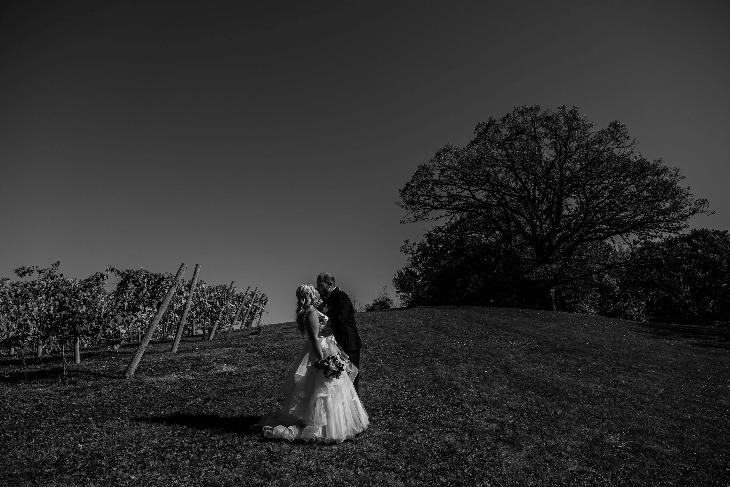 Hotel Landing_Wayzata_Minnesota_Wedding_Photography_LizNik_048.JPG
