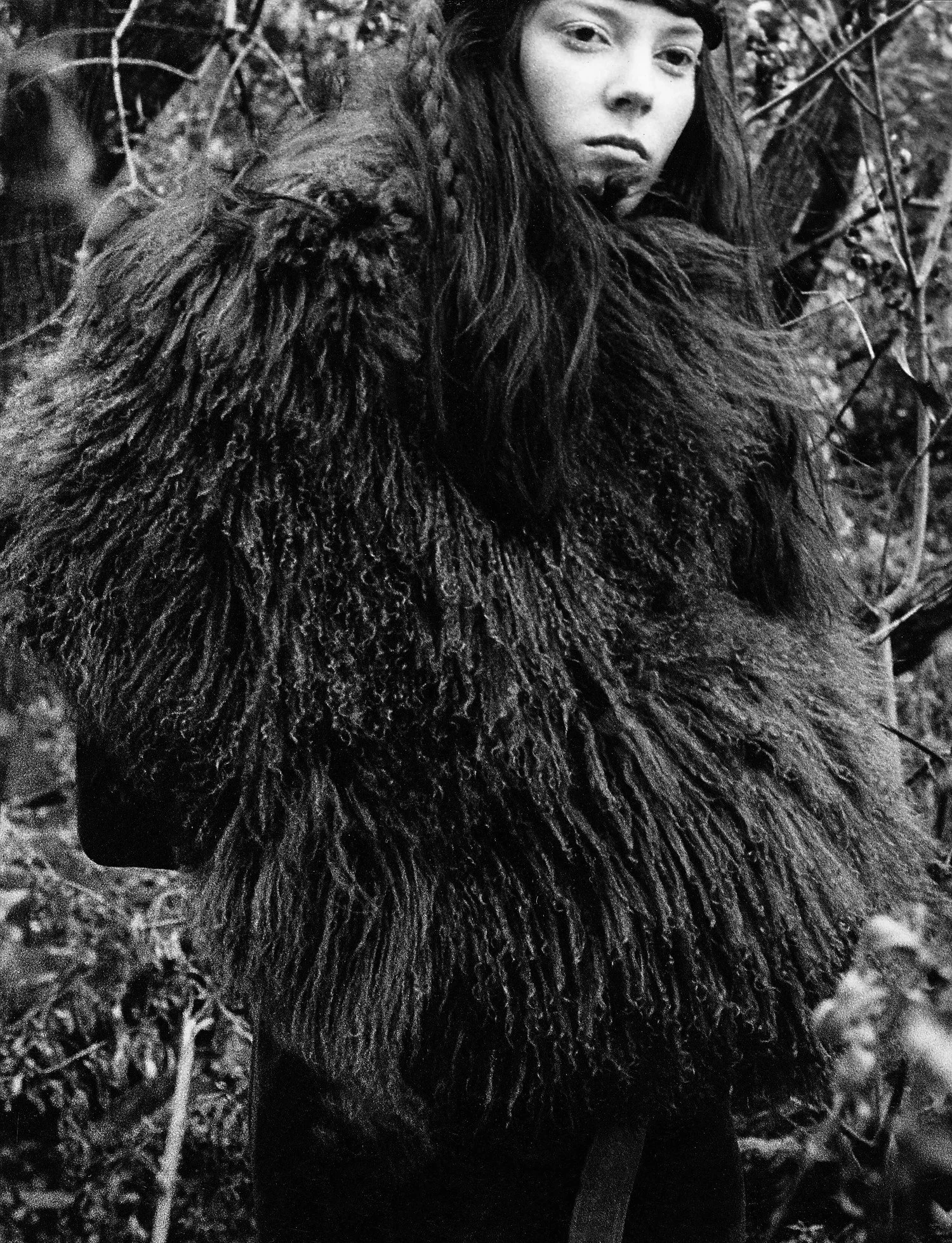 forest+3.jpeg