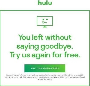 Hulu Winback.jpg