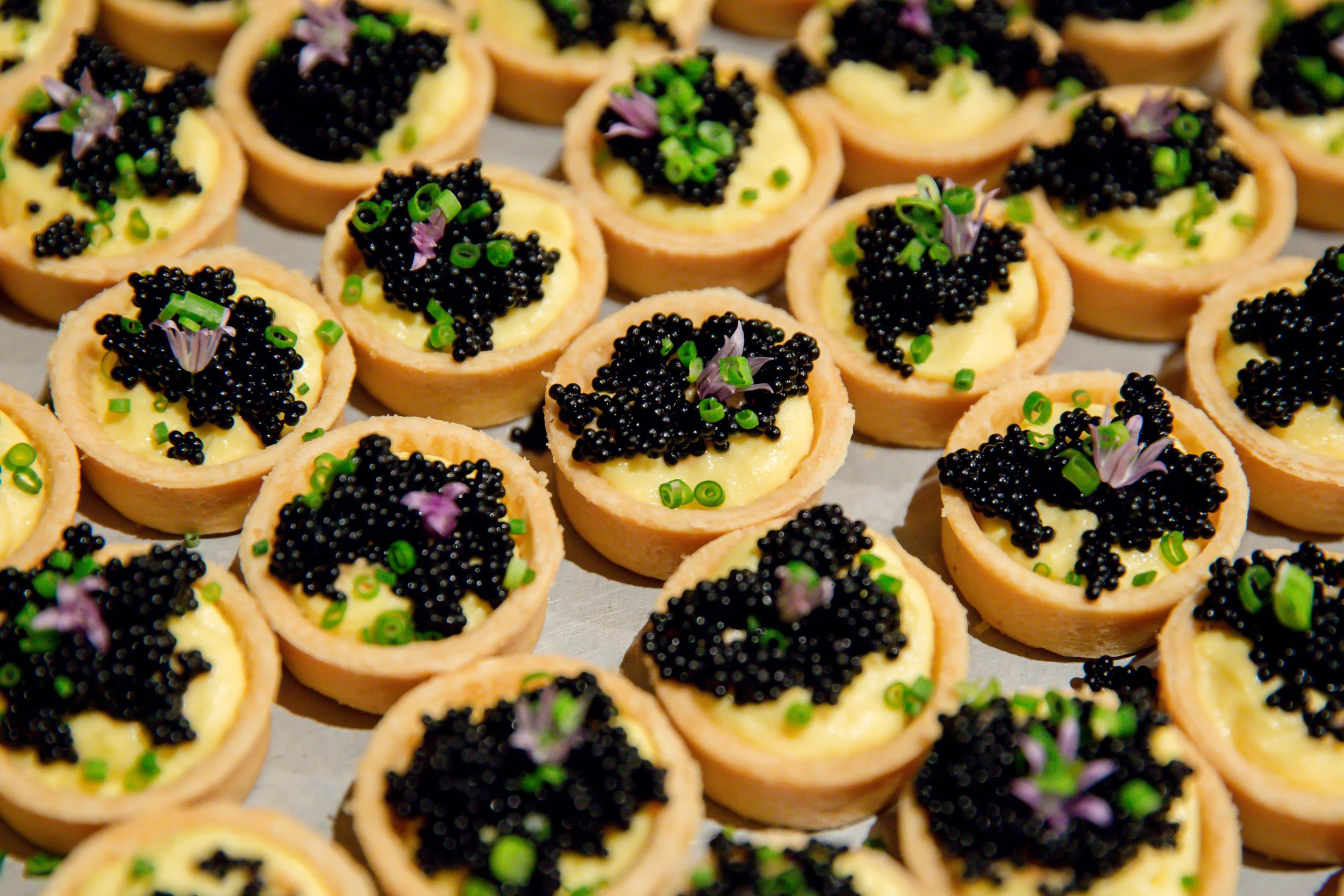 Miguel Trinidad Canape 2018 VIP Reception.jpg