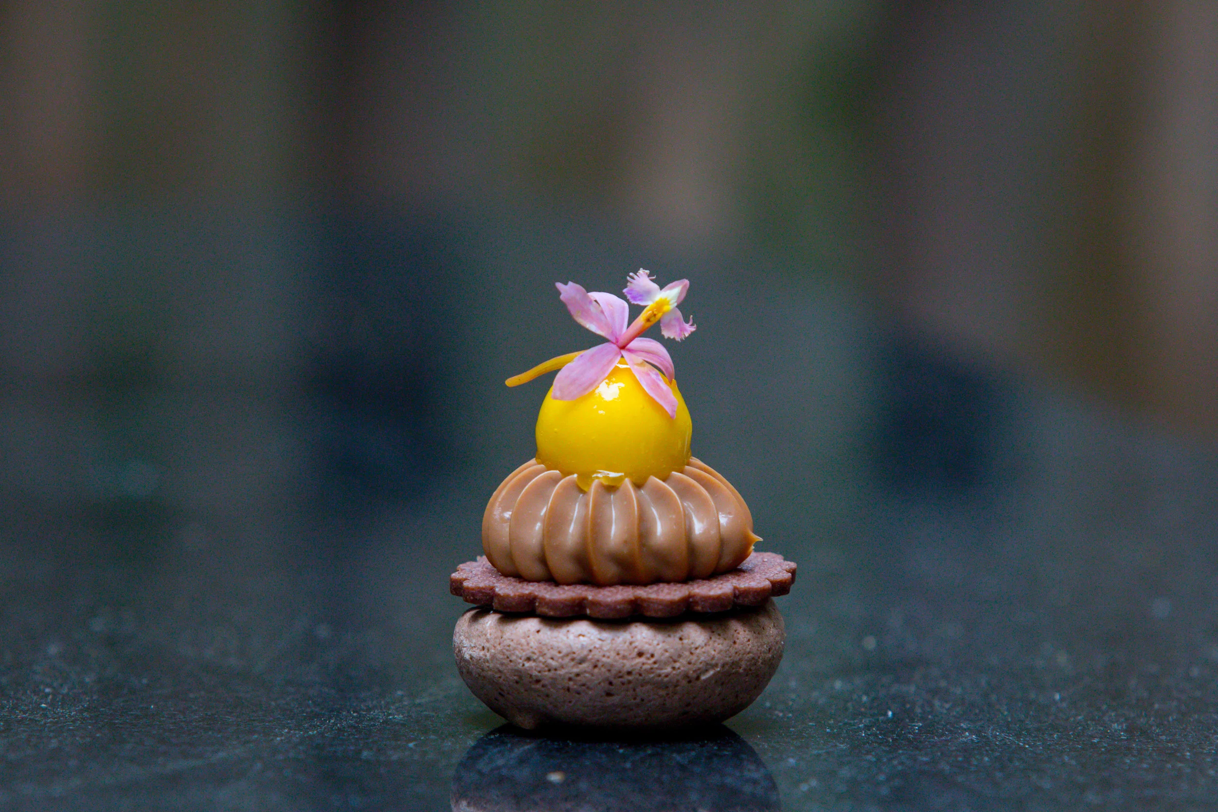 Devin Cowan Canape.jpg