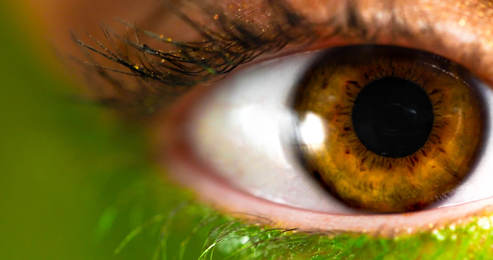 Eye-Edit.jpg