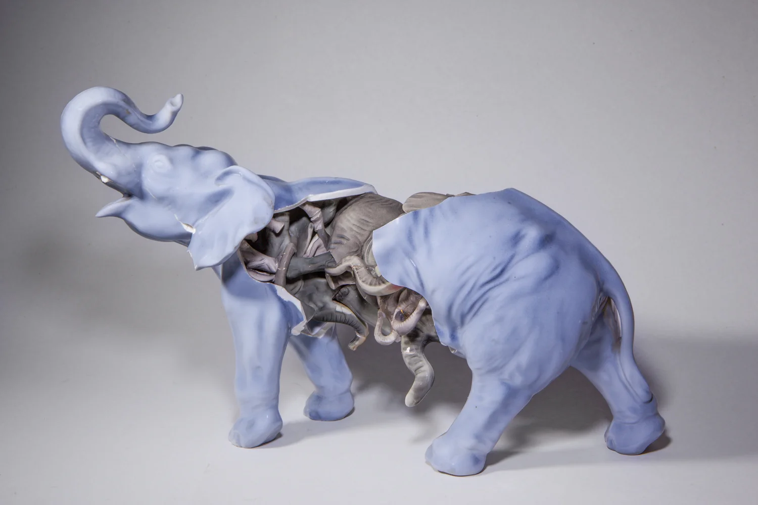ELEPHANT.jpg