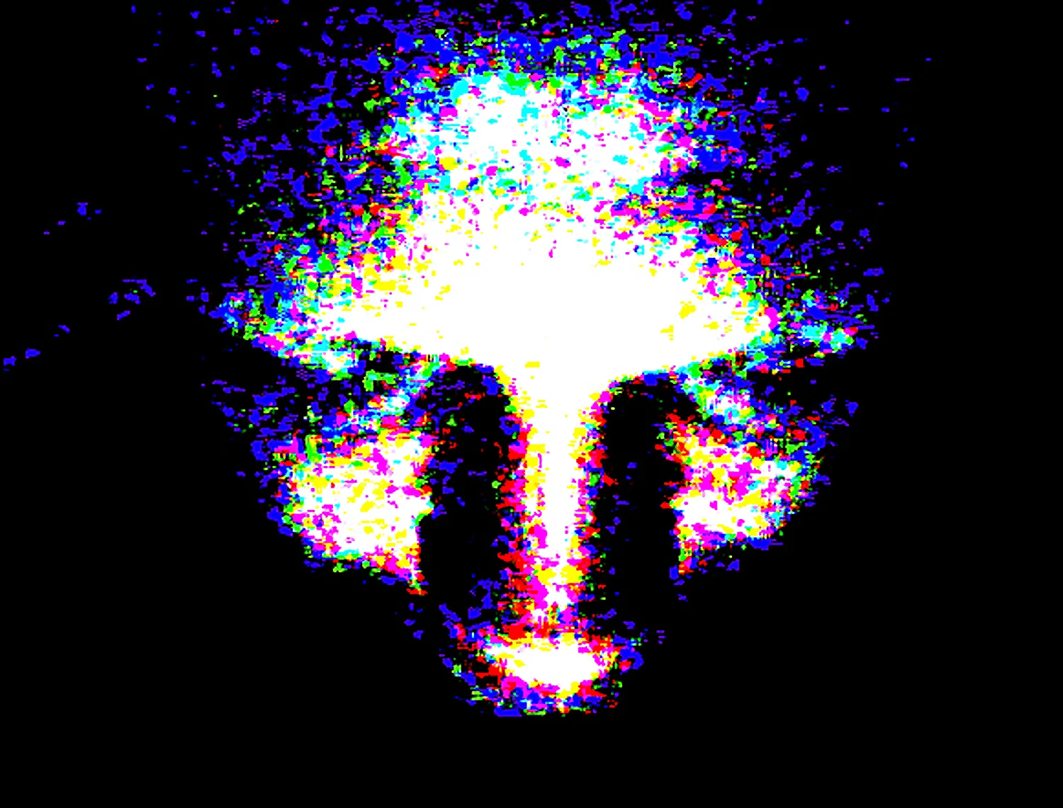 ILLUMINATED_07.jpg