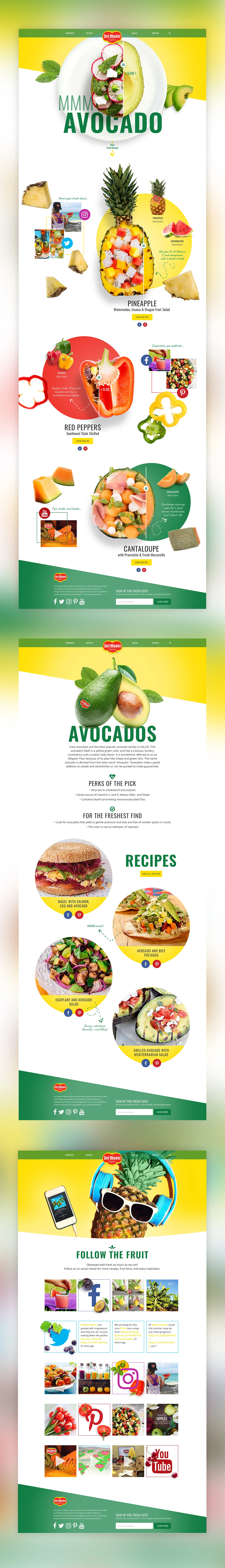 Delmonte website recreation.jpg