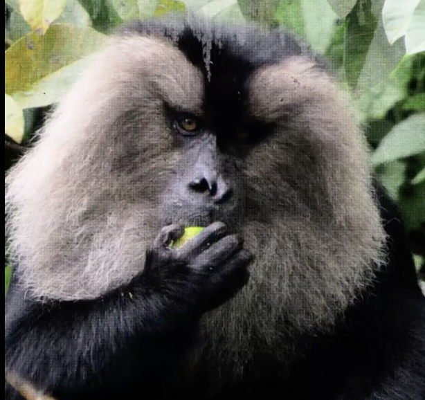 Screenshot 2024-03-12 at 2.29.33 PM.png