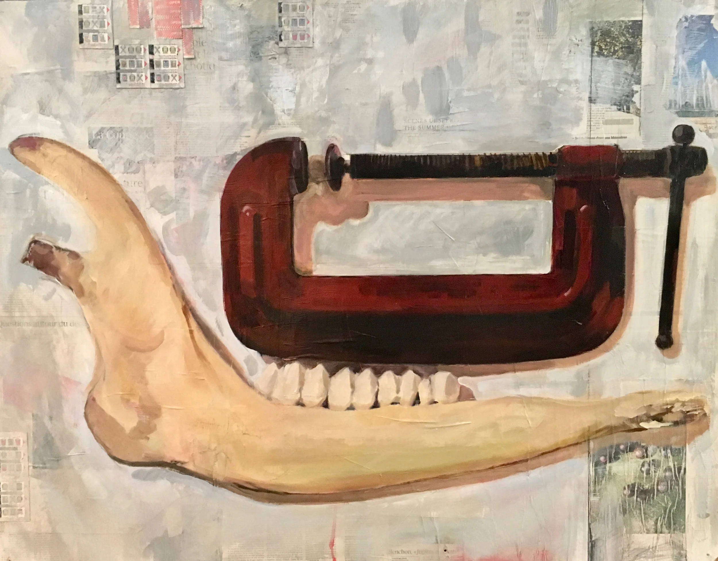 Jaw, Human and Nature