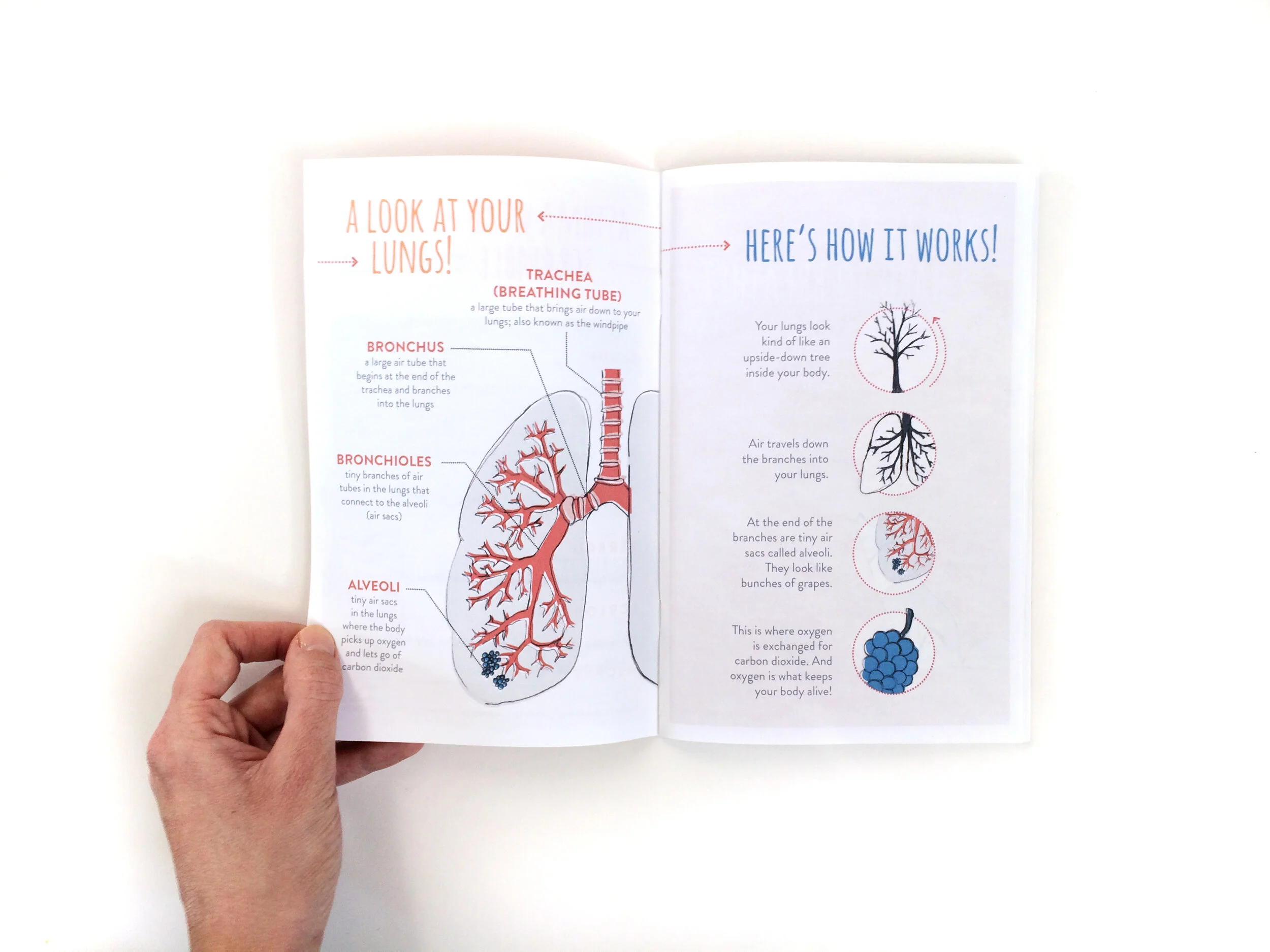 _Website_Asthma_Book_01.jpg