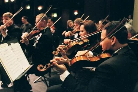 violins_2.jpg