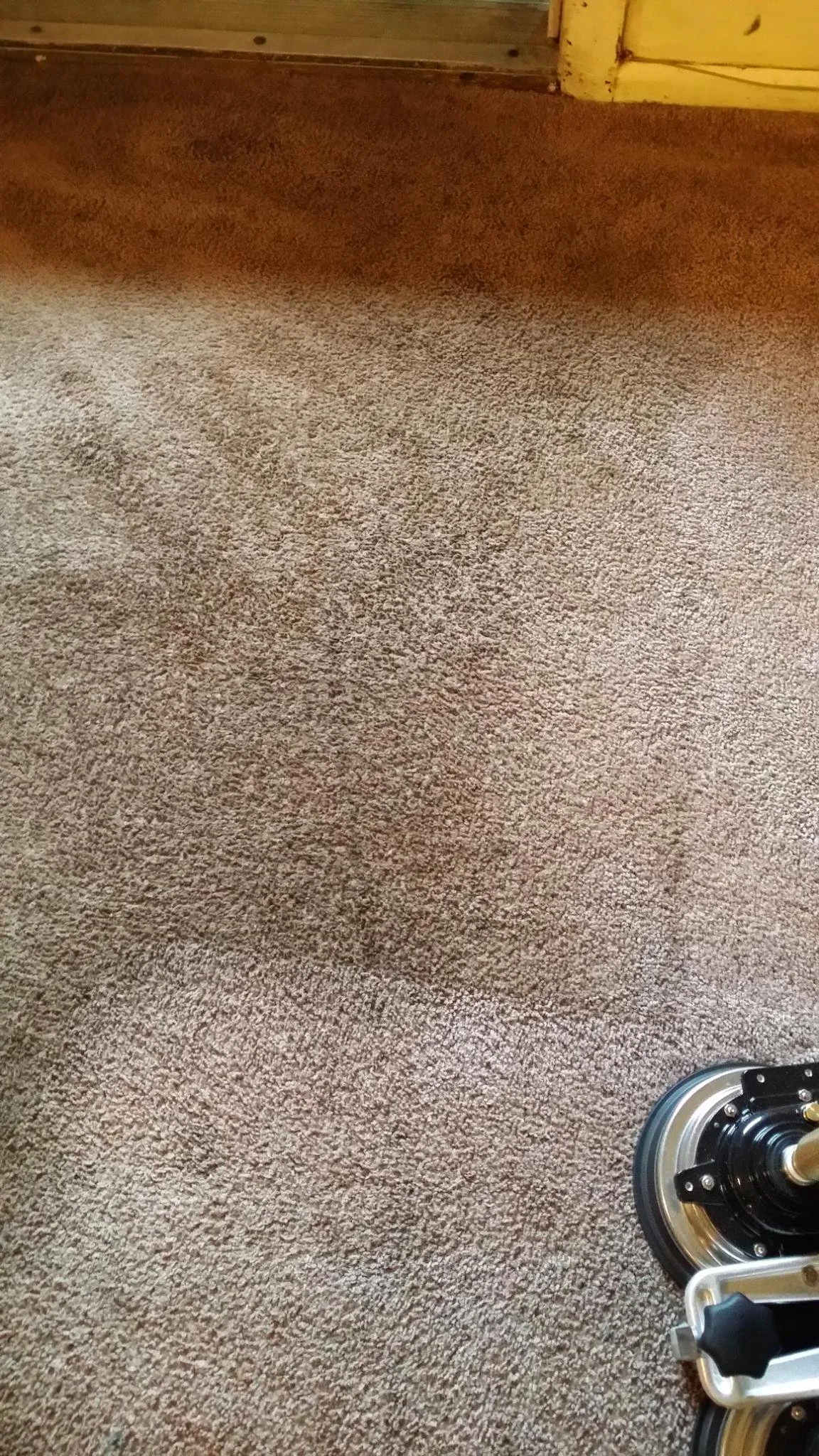 Image of the Cleaning Process