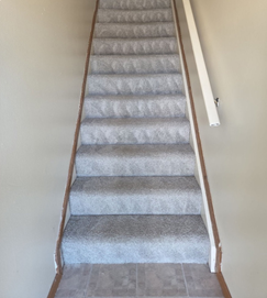 Image of Cleaned Carpet on Stairs