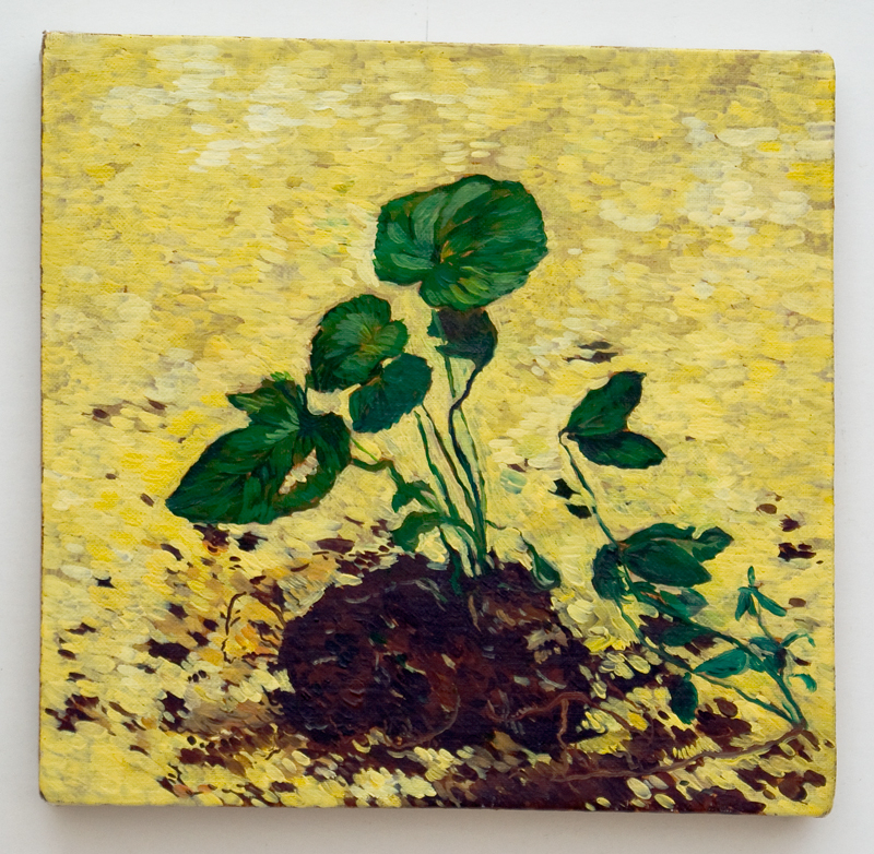 Plant, 2007, oil on canvas, 23 x 24 cm
