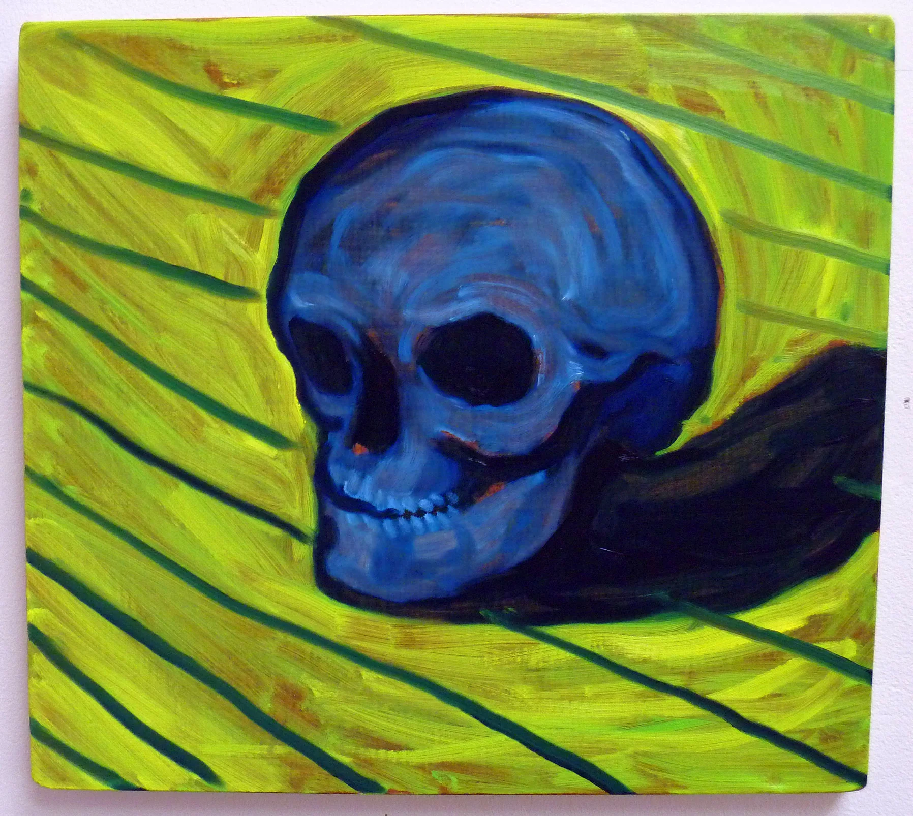 Skull, 2011, oil on canvas, 48 x 43 cm