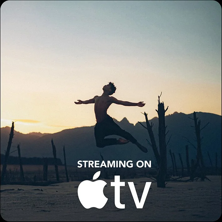 Siphe_Fly_Sqr_AppleLogo_Rounded_Edges_Lorez.jpg
