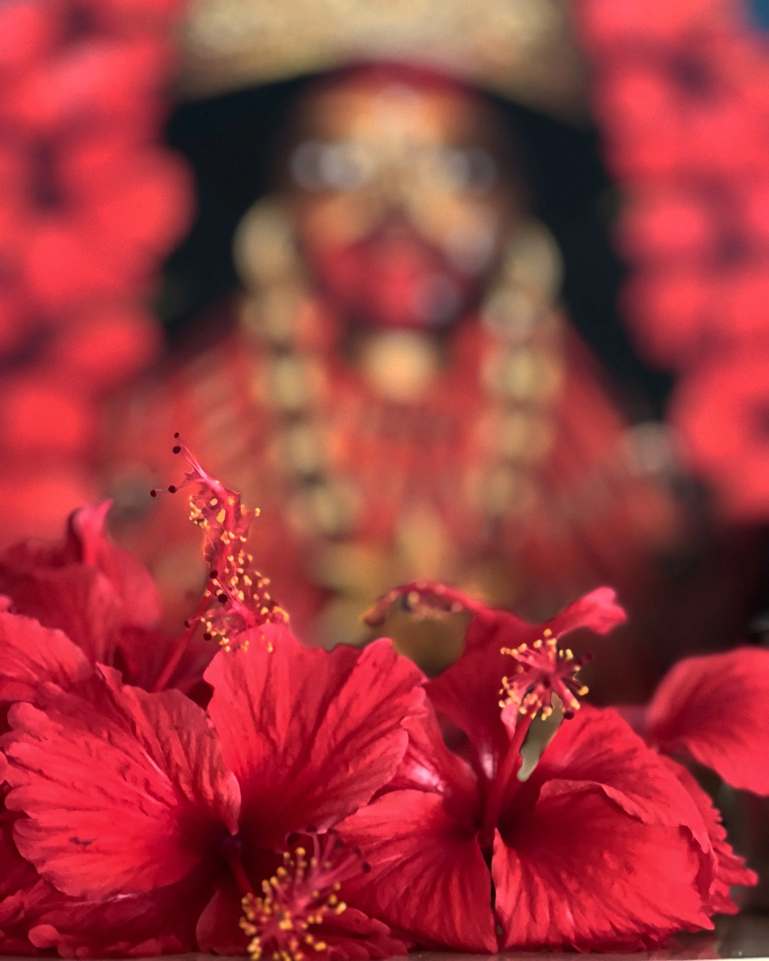 👁️&zwj;🗨️
Kali runs deep 🌺🌺🌺🙏🏾
- &ldquo;I remember when every morning, mum used to worship her family goddess with Kali&rsquo;s preffered flower - the Red Hibiscus or Rokto Joba aka Blood Orchid. Small prayer&hellip; potent stuff. 👁️&zwj;🗨️?