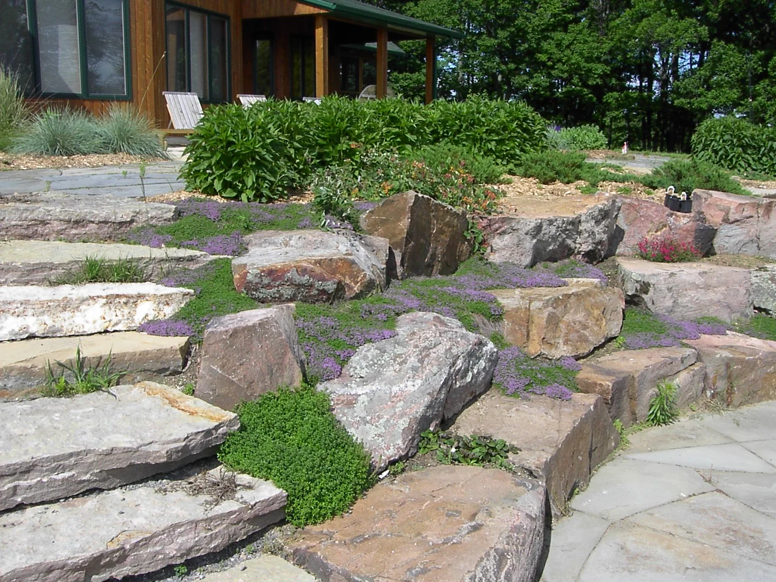 Granite wall with ground cover plantings in the pockets between stones.