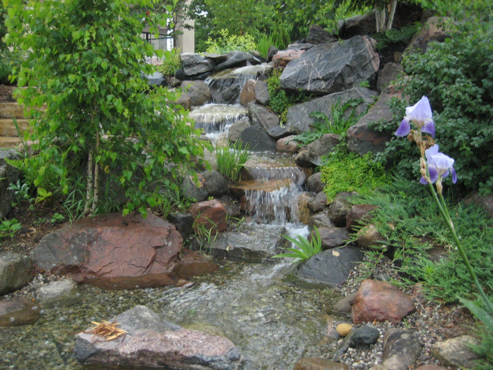  Best Western Plus in Perth.    