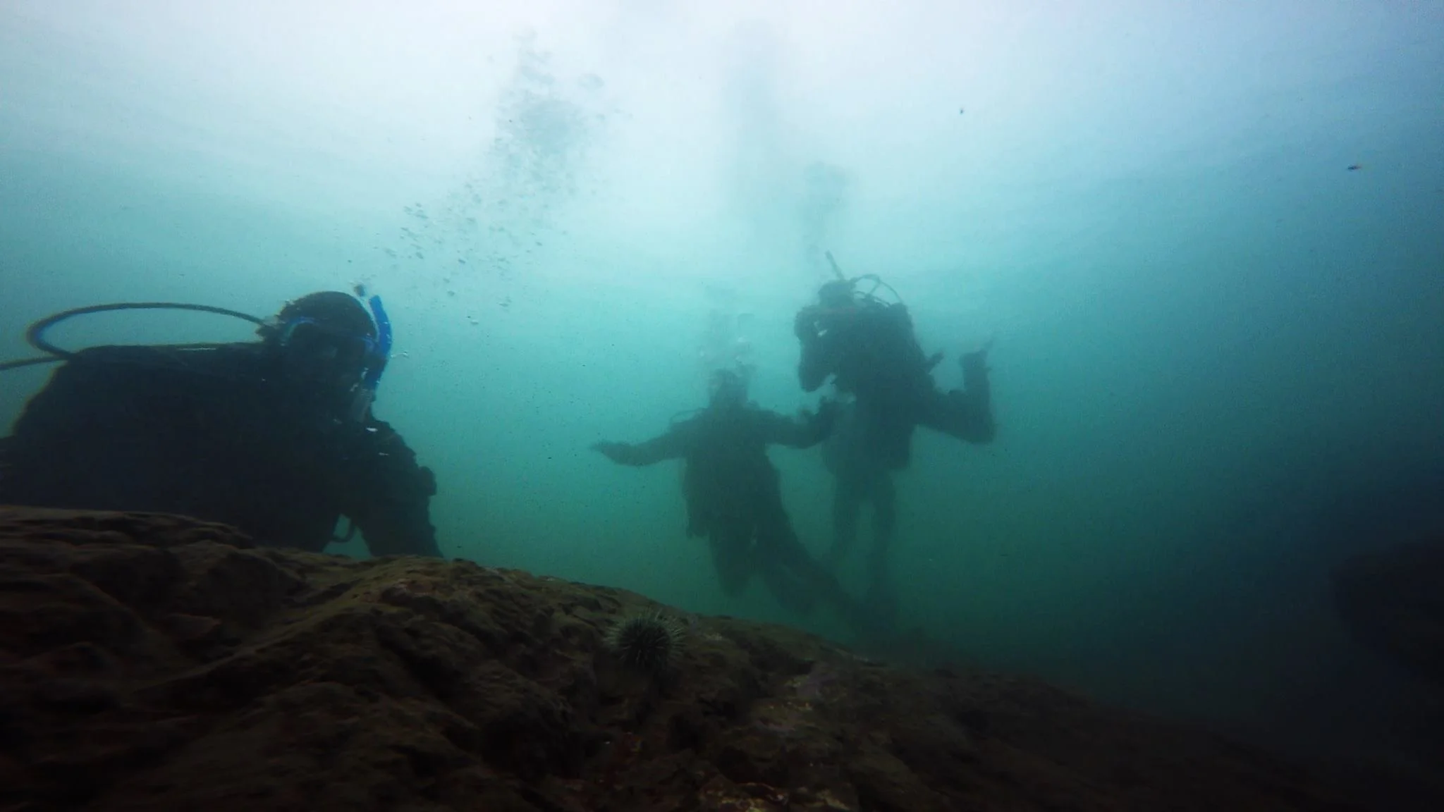 The finishing Dive 4, as part of last month PADI Open Water Diver Course. Good job everyone! 