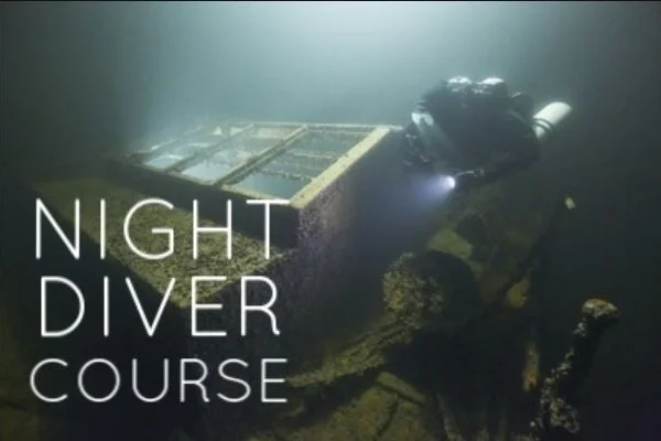 NIGHT DIVER