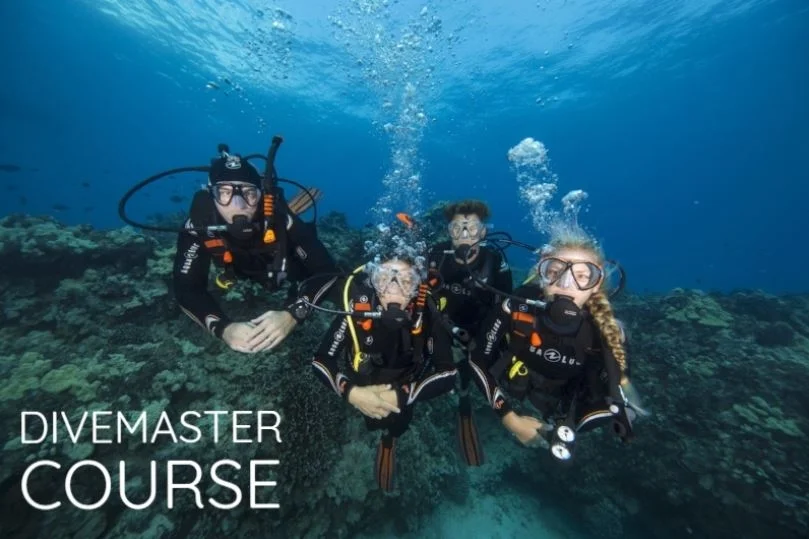 DIVEMASTER