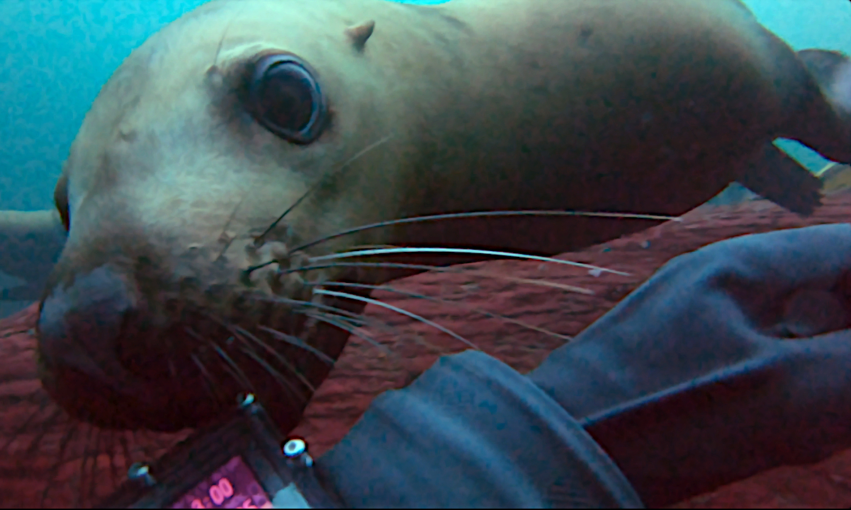 Up Close and Personal