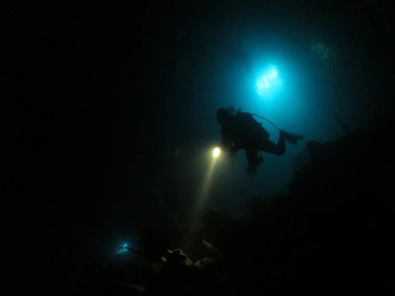 The HMCS Annapolis Wreck (before it was sank as an artificial reef) you will dive as part of your Wreck Diver Course