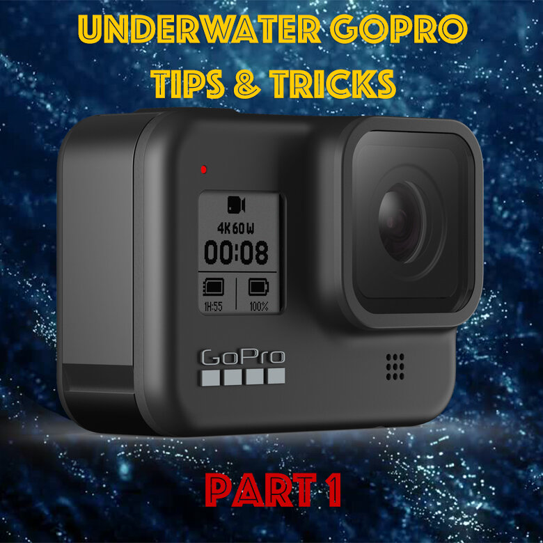 Underwater GoPro Tips and Tricks Part 1 — Rowand's Reef Scuba Shop