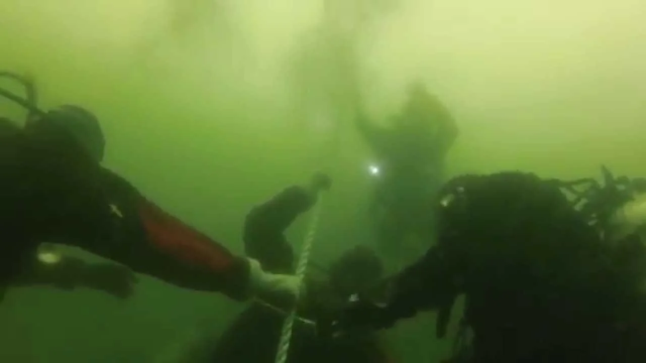 What Causes Bad Water Visibility in the Summer? — Rowand's Reef Scuba Shop