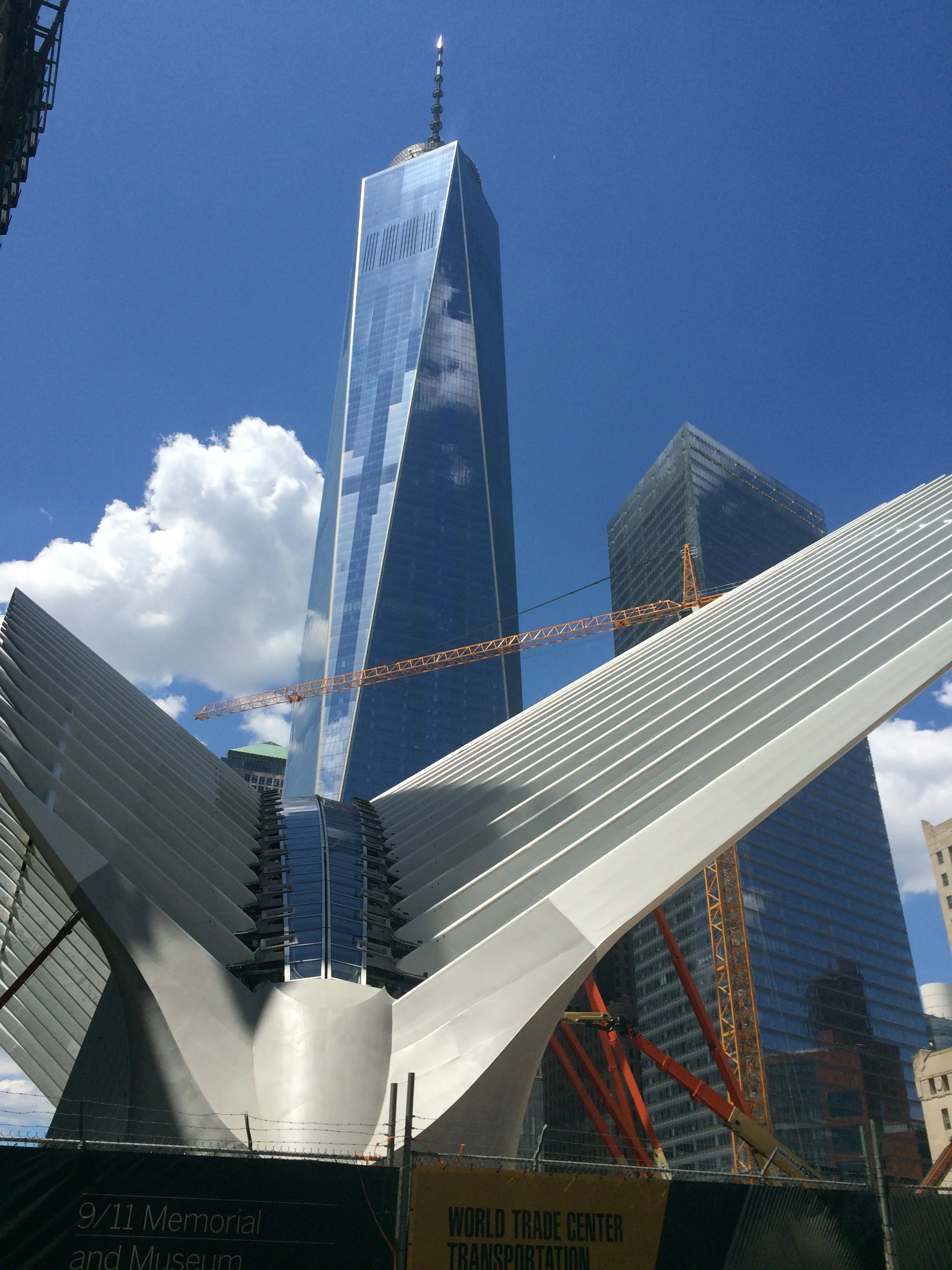 Equestrian New York: Lower Manhattan History and Horses