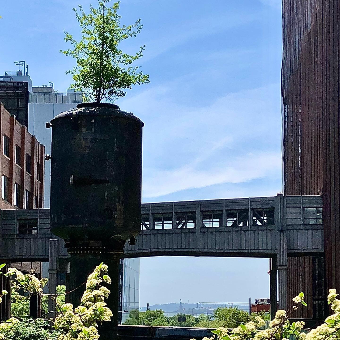 Three significant #sculptures in view from this spot on @highlinenyc by #artists Ibrahim Mahama, David Hammond and Frederic Auguste Bartholdi 🗽 #newyorkcityviews #newyorker #tourguide #art #architecture #nature #takingawalk #comeVisit #hireaguide