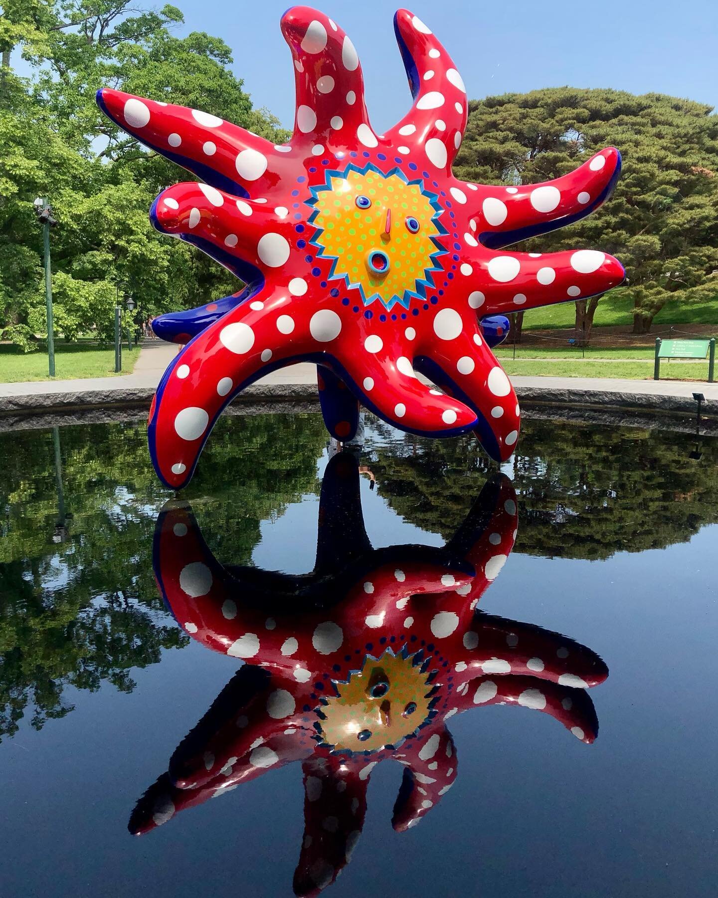 Went to see #Kusama @nybg and to see #rhododendron #laurel #iris #peony all in peak #bloom 🌸 So much to see at the #BotanicalGarden and in the #Bronx! #newyorker #tourguide #walkingtour #flowers #flowersofinstagram #art #architecture #nature #summer
