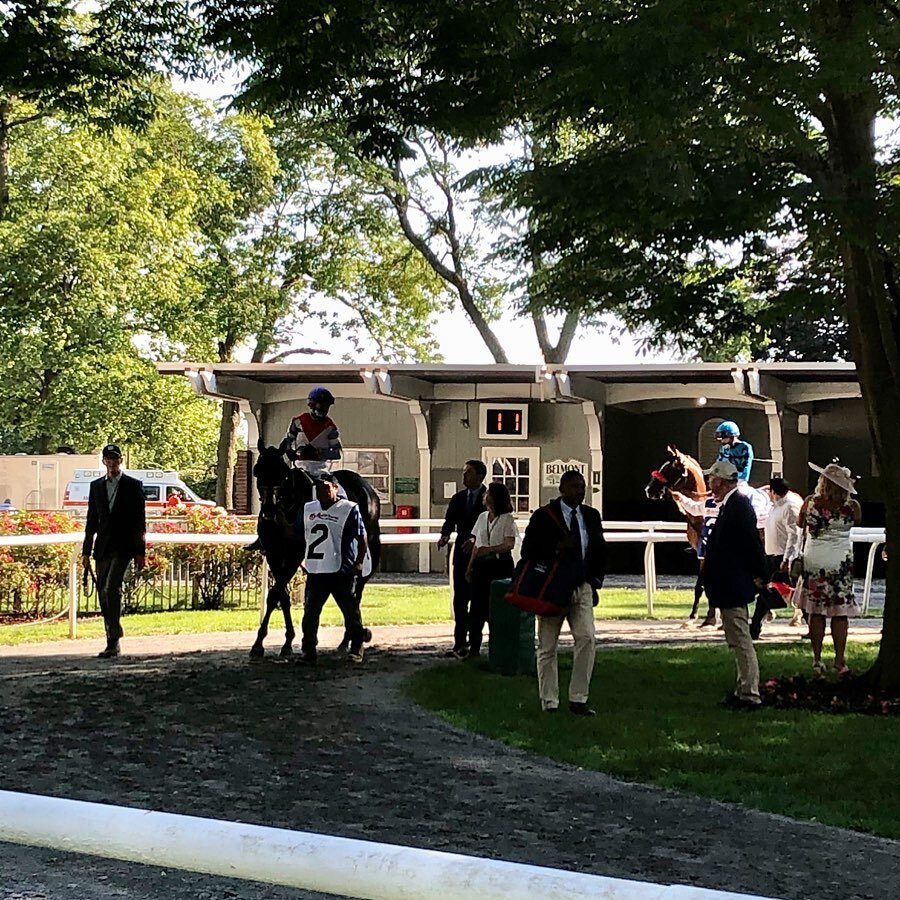 It was wonderful to be at the #paddockrail yesterday @belmontstakes @thenyra #BelmontPark🌳 🏇 #thoroughbred #thoroughbredracing #equines #equestrianNY #newyorker #tourguide  #atthetrack NYC is up and running! #ComeVisit #hireaguide