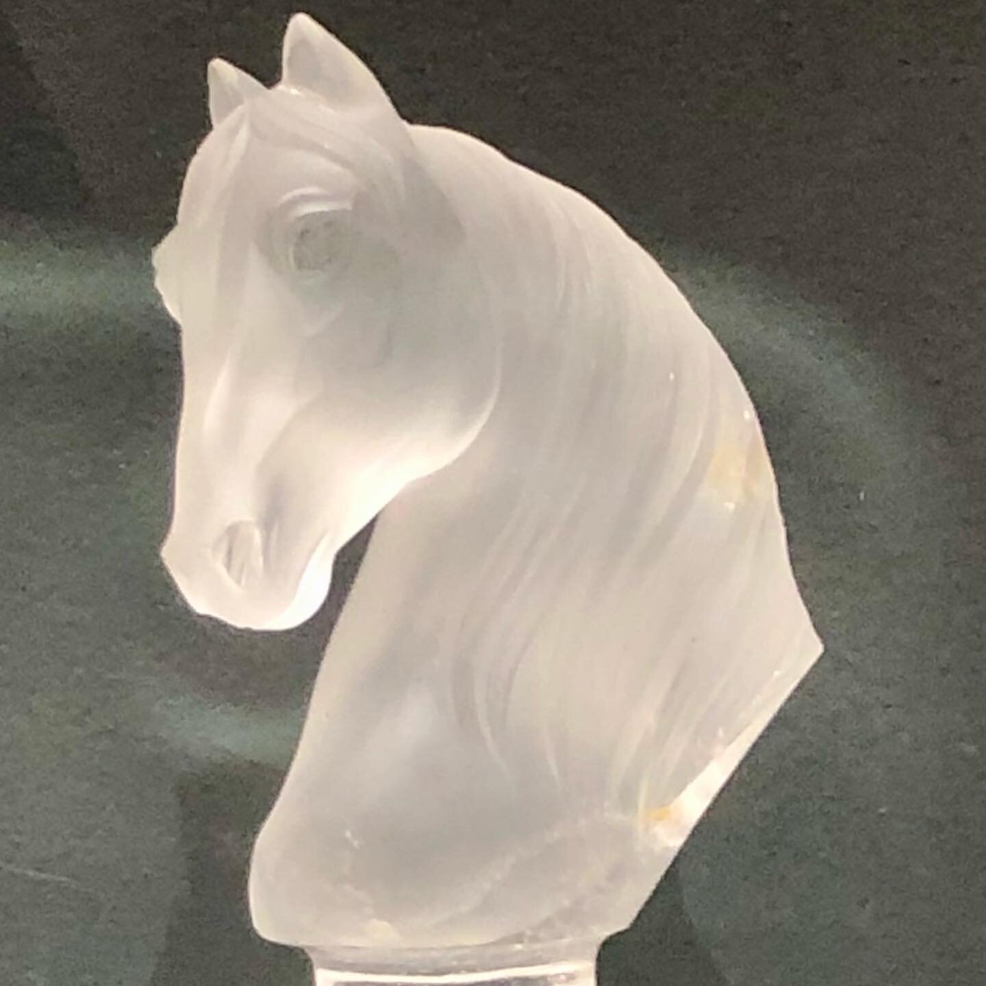 #Equine spotting @amnh in the #gemsandminerals galleries! Beautiful new exhibitions. #ItIsTimeForNYC #tourguide #newyorker #museums #naturalhistorymuseum #art #science Come visit. #HireAGuide