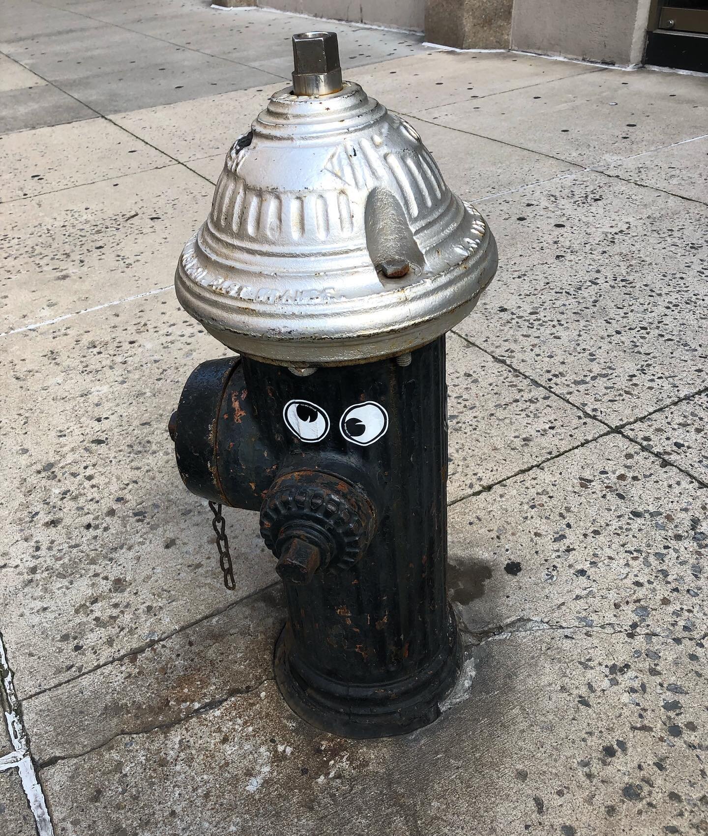 Crazy Hot in #NYC even the #firehydrant has gone nuts! #murrayhill #midtown #newyorker #tourguide trying to beat the heat🥵 #saturdayfun