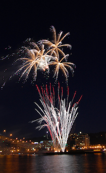 Fireworks_PDX_1.jpg