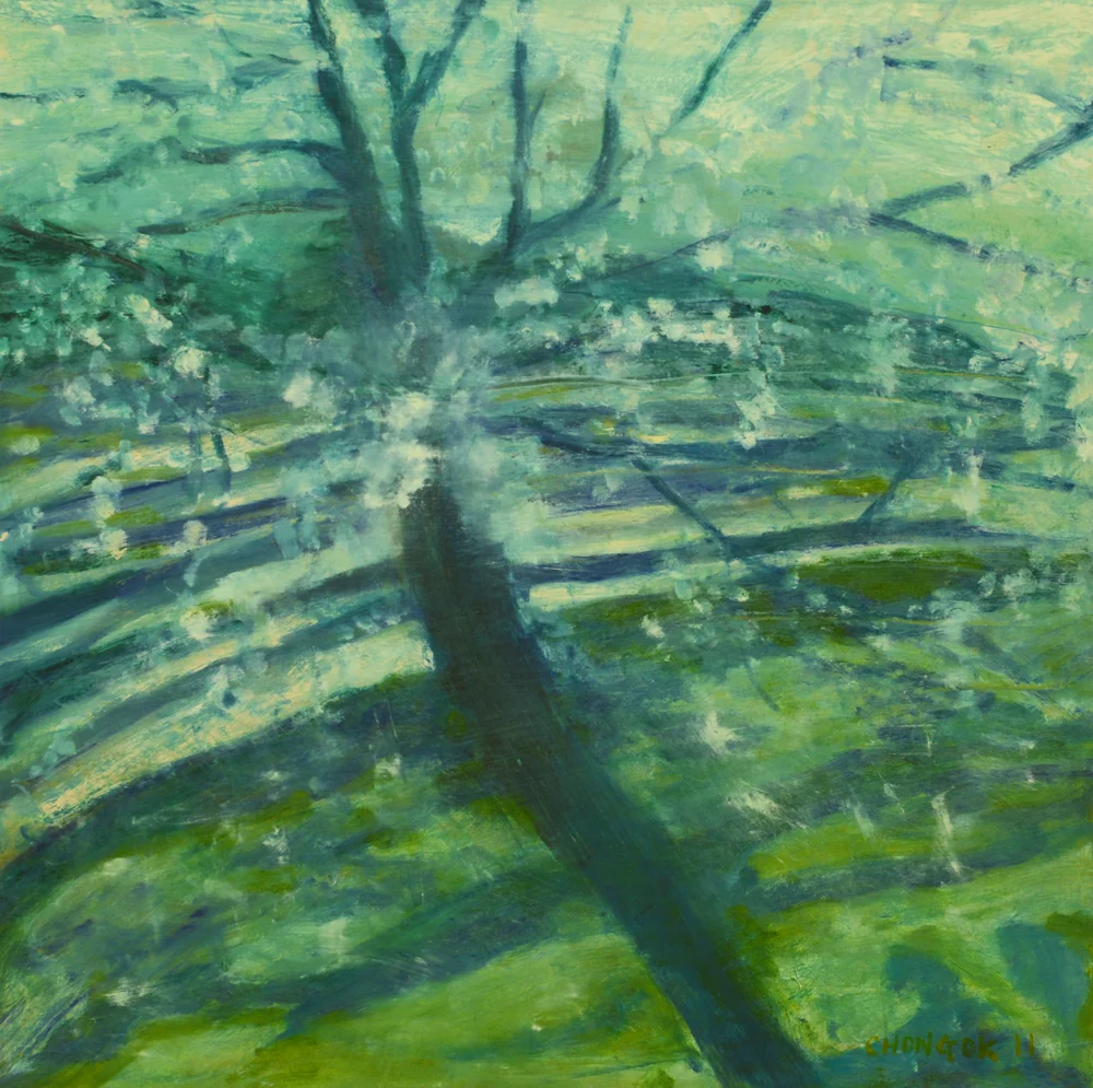 Menerbes Landscape series, 12