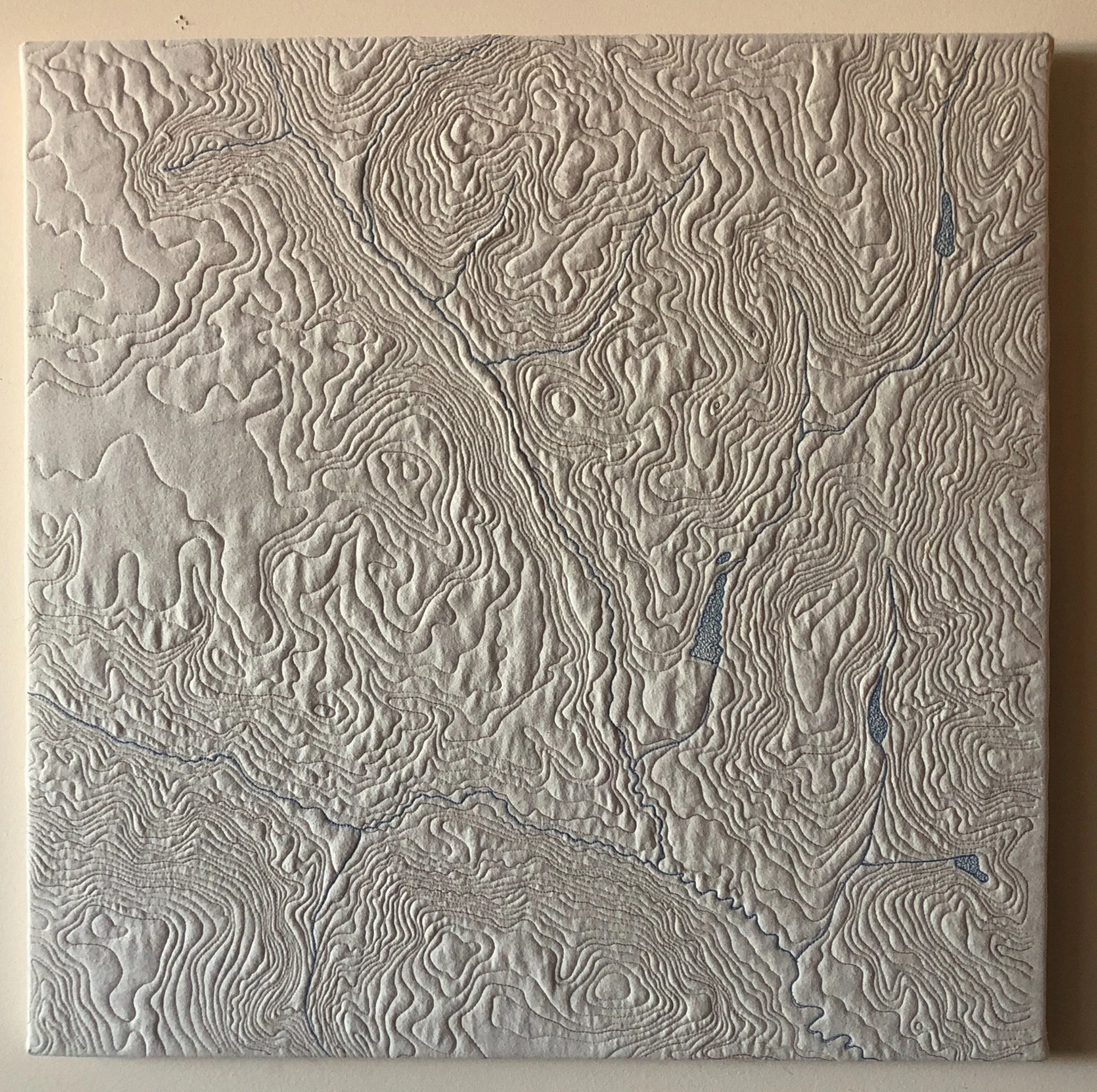 "A Plot in Taylor County, Georgia"