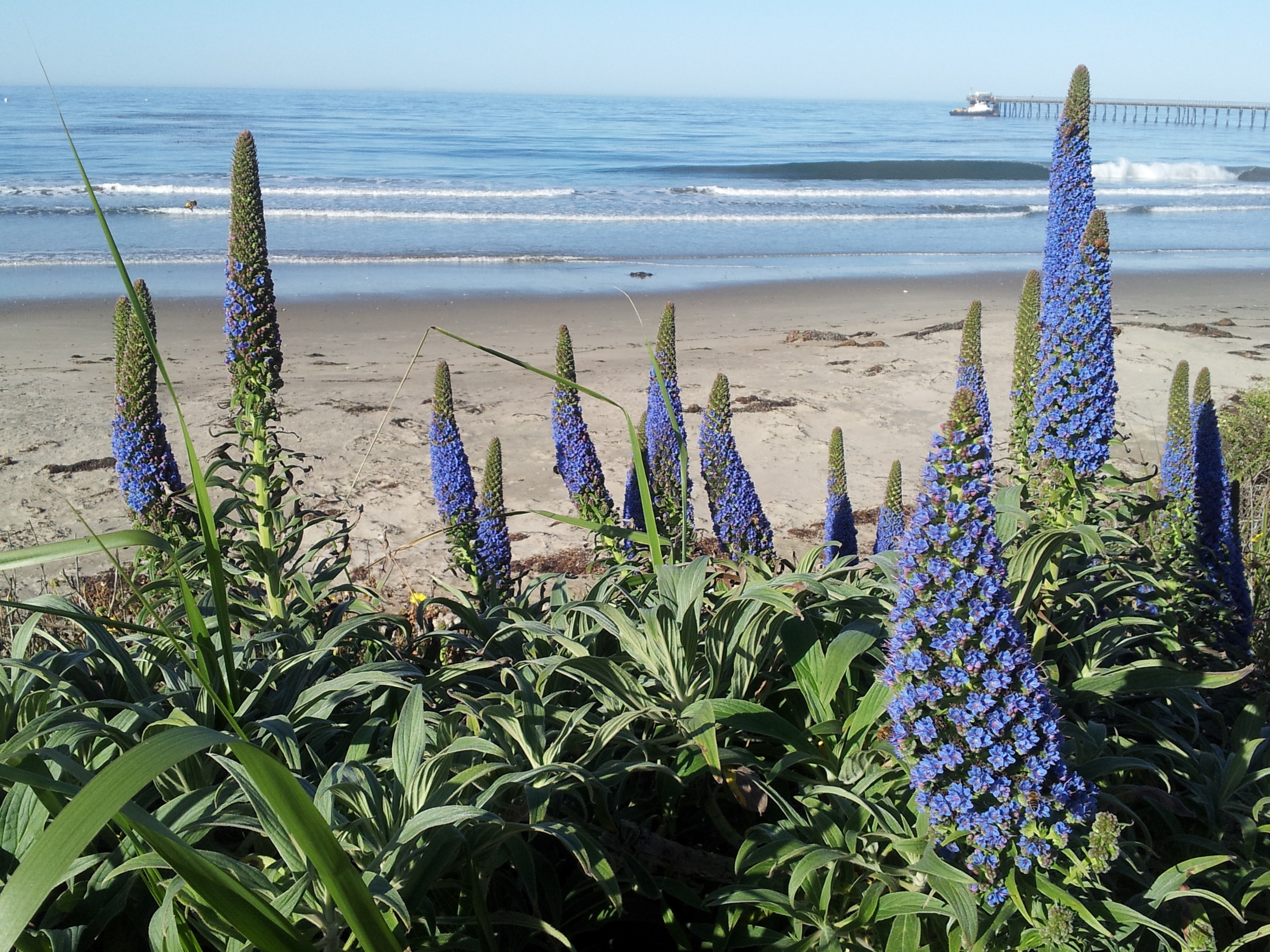 20130418_082840.jpg