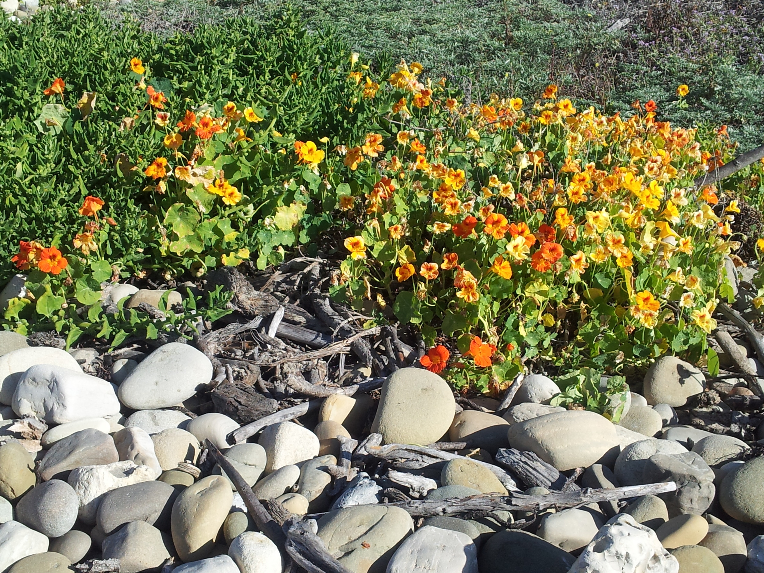 20130418_085253.jpg