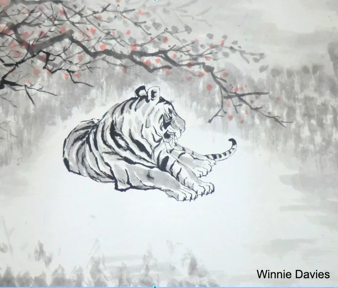 Physical Poetry 3: Clouds and Tigers