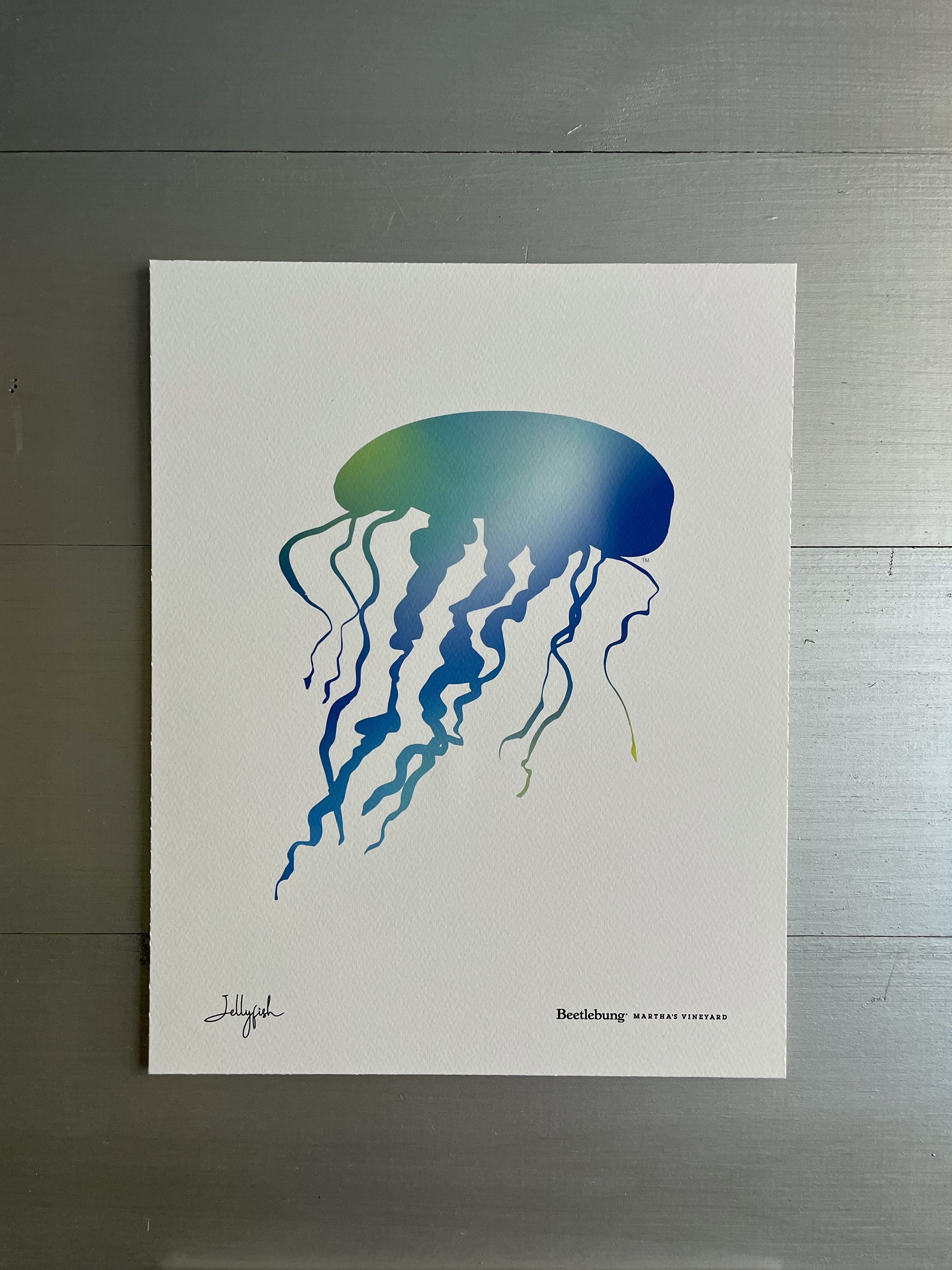 Jellyfish Poster