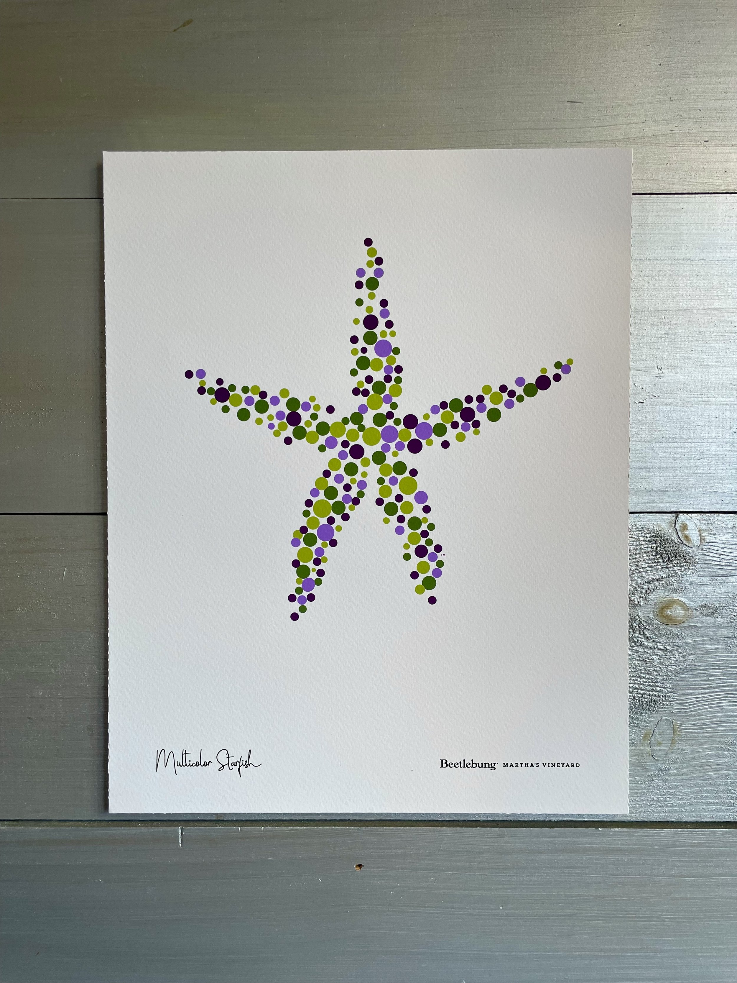 Multicolor Starfish Poster