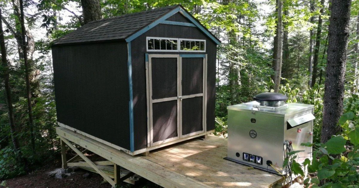 Metal generator enclosure sits on a wooden deck beside a dark shed, tucked among tall forest trees nearby.